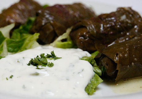 Dolma and Cacik